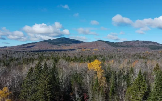115± Acres with Trout Brook, Power & Paved Road Access