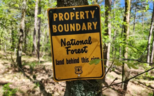 Billy Creek Land – Adjoining National Forest