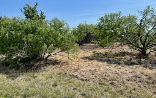 The Hideout Golf Club Residential Lot 527 Lake Brownwood TX