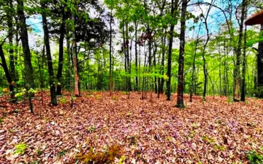 Wooded Acreage Fulton County AR for sale