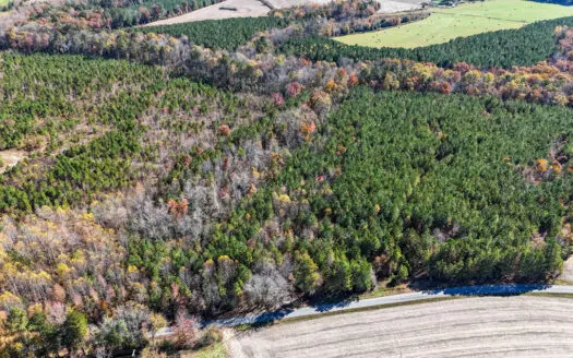 Quiet Country Land Ready for Home or Homestead In Kenbridge, VA