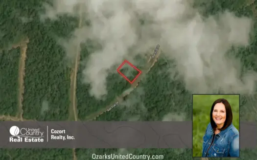 Land For Sale near Lake in Arkansas