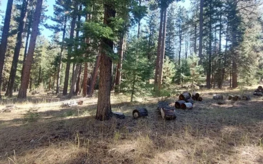 Rural Acreage/Septic/Electricity/Wildlife/Trees