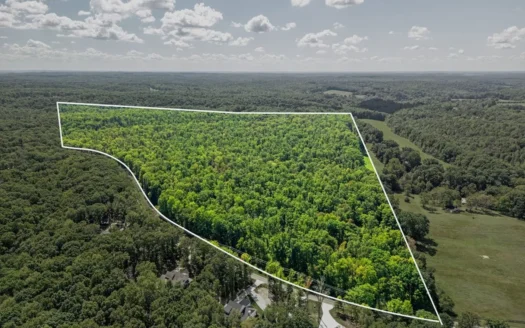 Expansive 116.64-Acre Wooded Lot Perfect for Your Dream Home