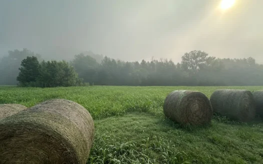 Lot 24 of White River Run in Guion, AR For Sale