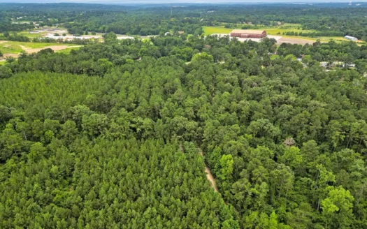 East Texas Unimproved Land for Sale in Tyler Smith County