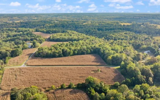 73.57 Acre Allen Co Farm Selling in 8 Tracts w/ Marketable Timber