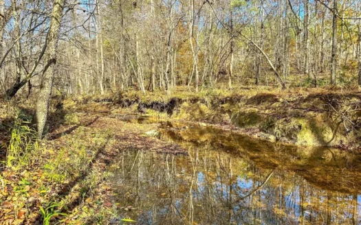 Timber Income Meets Recreation in Nelson, VA