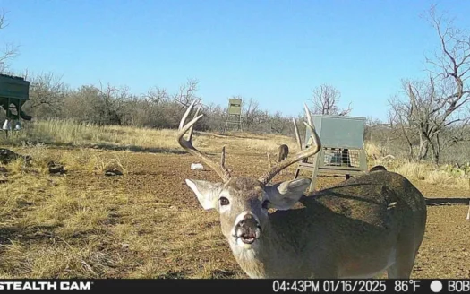 Turnkey Gouldbusk TX Hunting Ranch with Lodge, Pool and Ponds