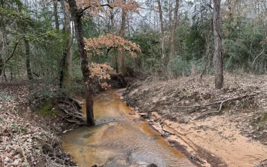 East Texas Hunting/Recreational Land For Sale