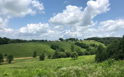 15 Acres Unrestricted Land For Sale in East TN