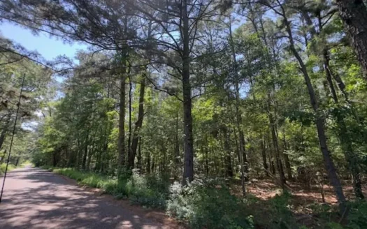 Hallsville Texas Land For Sale