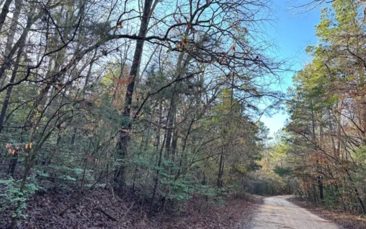 East Texas Timberland/Hunting Property