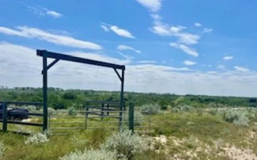 Country Living – Acreage Orange Grove , Texas