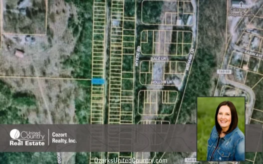 Vacant Lot in Taney County Missouri