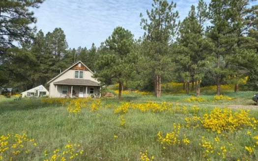 Passive Solar Masterpiece in the Carson National Forest