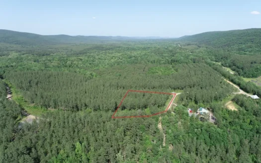 Building Acreage Near Three Rivers WMA