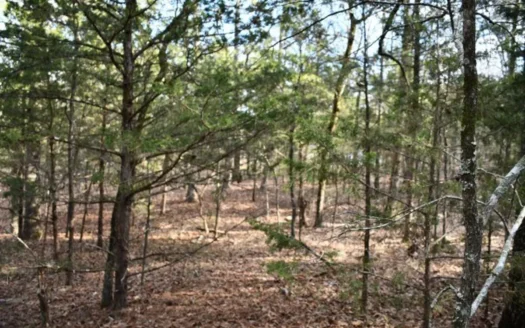 Recreational Off-Grid Cabin Site For Sale In Oklahoma