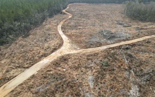 184 Acres of Prime Hunting & Recreation Lawrence County MS