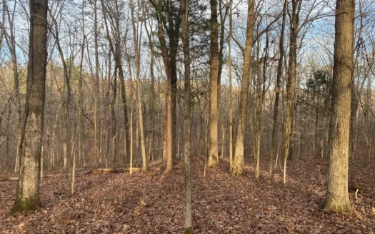 Land For Sale In Tn With Seasonal Lake View Of Pickwick Lake