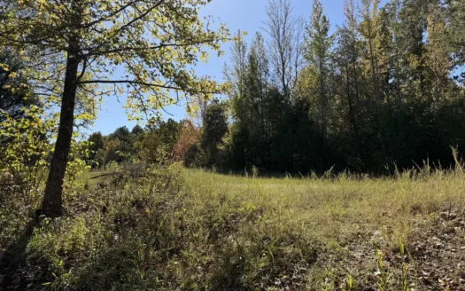 Land With Spring Creek And Cabin For Sale In Arkansas