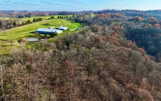 Cattle or Equine Property with Timberland Near Louisville KY