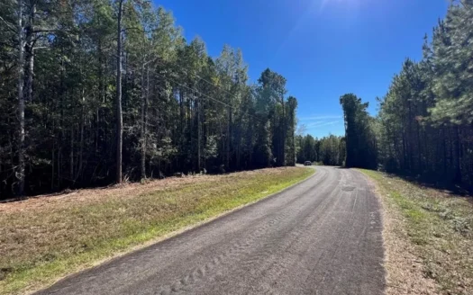 Great Timberland/Hunting Tract in Southwest Mississippi