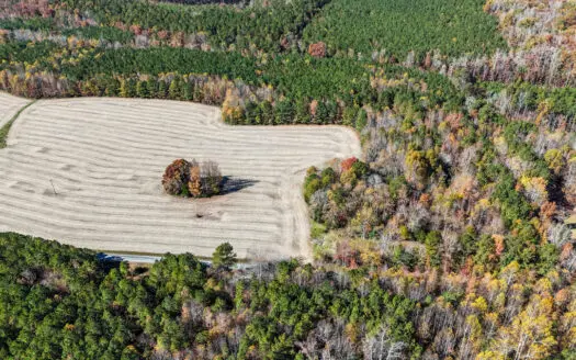 Quiet Country Land Ready for Home or Homestead in Kenbridge, VA