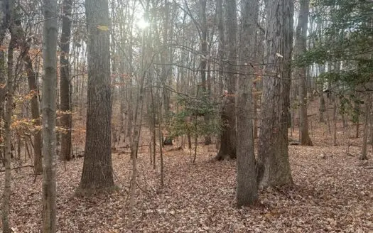 Merifield Acres: Your Kerr Lake Dream Awaits!