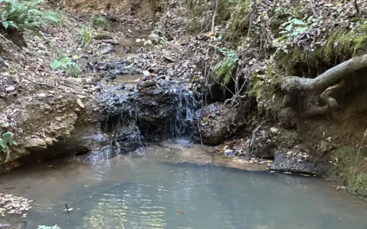 East Texas Hunting/Recreational Tract For Sale