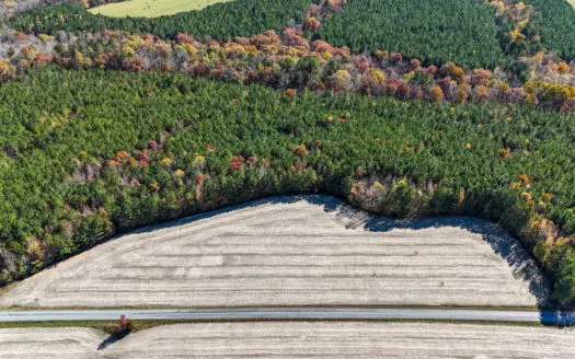 Quiet Country Land Ready for Home or Homestead in Kenbridge, VA