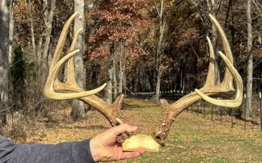 Recreational Hunting Property for Sale in Cedar County, Missouri