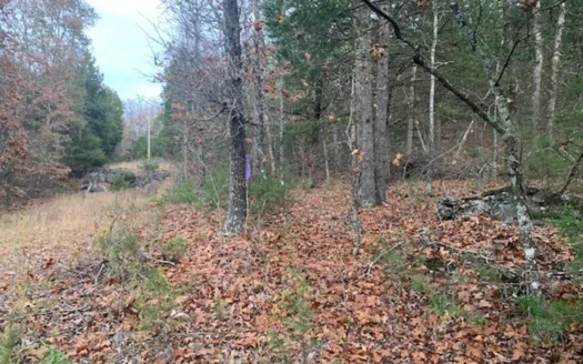 Mountain-Top 5 Acres-Big Views