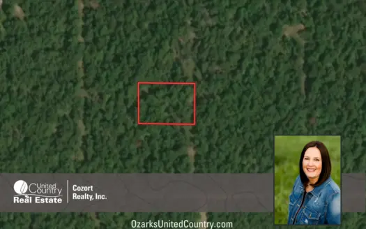 Land For Sale near Lake in Arkansas
