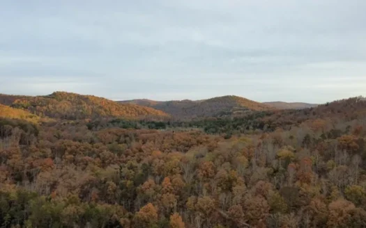 Secluded Hunting Tract on Little South Fork River – Kentucky