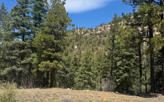 Mountain Land for Sale near Chama NM, Gated Access, Wooded