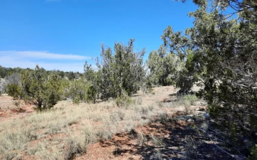 3 acres of Northern AZ off grid mountain property