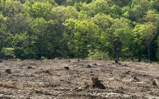 459.6 Surveyed, Unrestricted acres in Sneedville, Tennessee