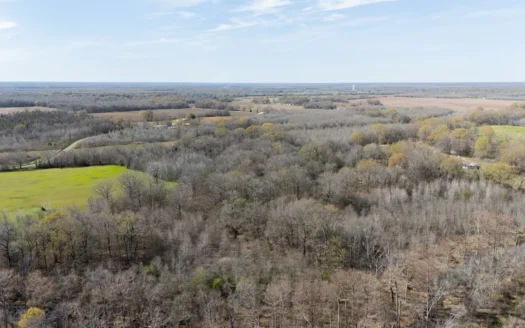 Bayou Macon 185 West Carroll Parish Land for Sale