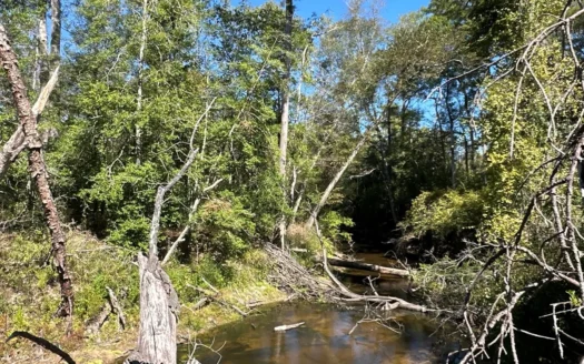 Planted Pine Land W/ Hardwood Creek for Sale near Pitkin, LA