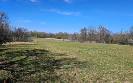 Arkansas cattle Ranch for sale 80 acres