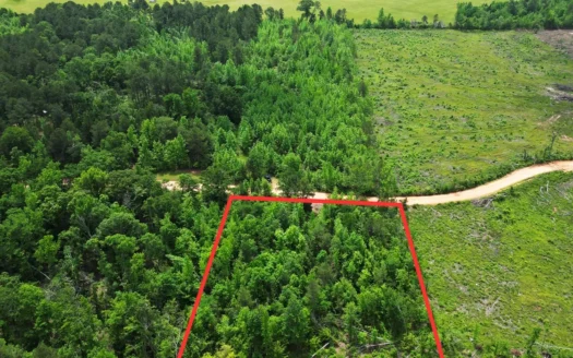 Excellent Off Grid Homesite in Miller County