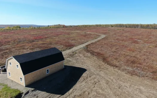 50 Acre Blueberry Farm – Charlotte, Maine