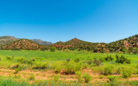 67 Acres In Canon City Colorado Bordering Blm For 4265′