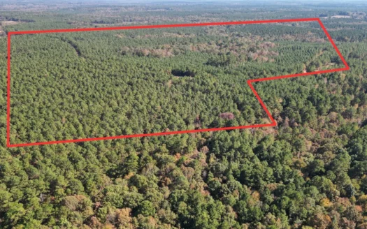 34.82 Ac. Of Miller Co.  Ar Hunting, Homestead, Timberland