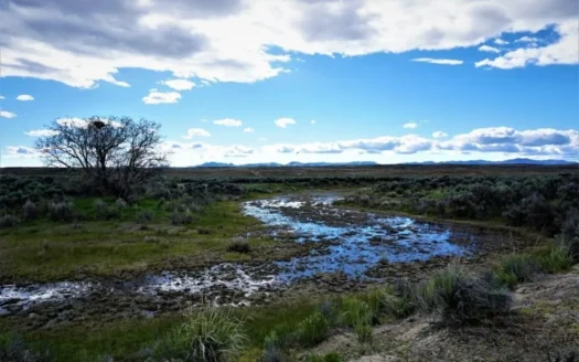 Residential Land For Sale Elko County