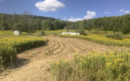 Excellent recreational property