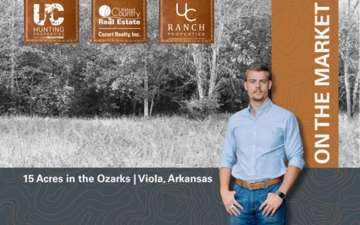 Acreage for sale in the Arkansas Ozarks