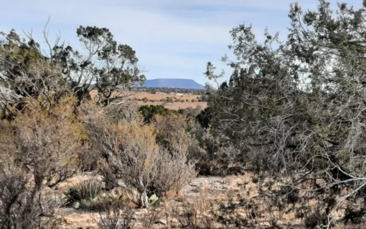 Remote Northern Az Off Grid Propety