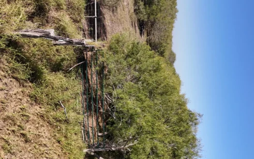 +/- 25 Acres South of Kingsville, Texas